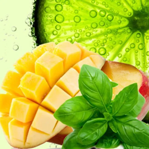 Nature's Garden Lime Basil Mango Fragrance Oil New
