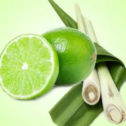 Nature's Garden Lime Citronella Fragrance Oil Hot