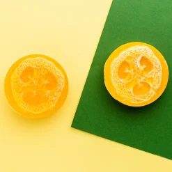 Nature's Garden Loofah Melt and Pour Soap Kit Clearance