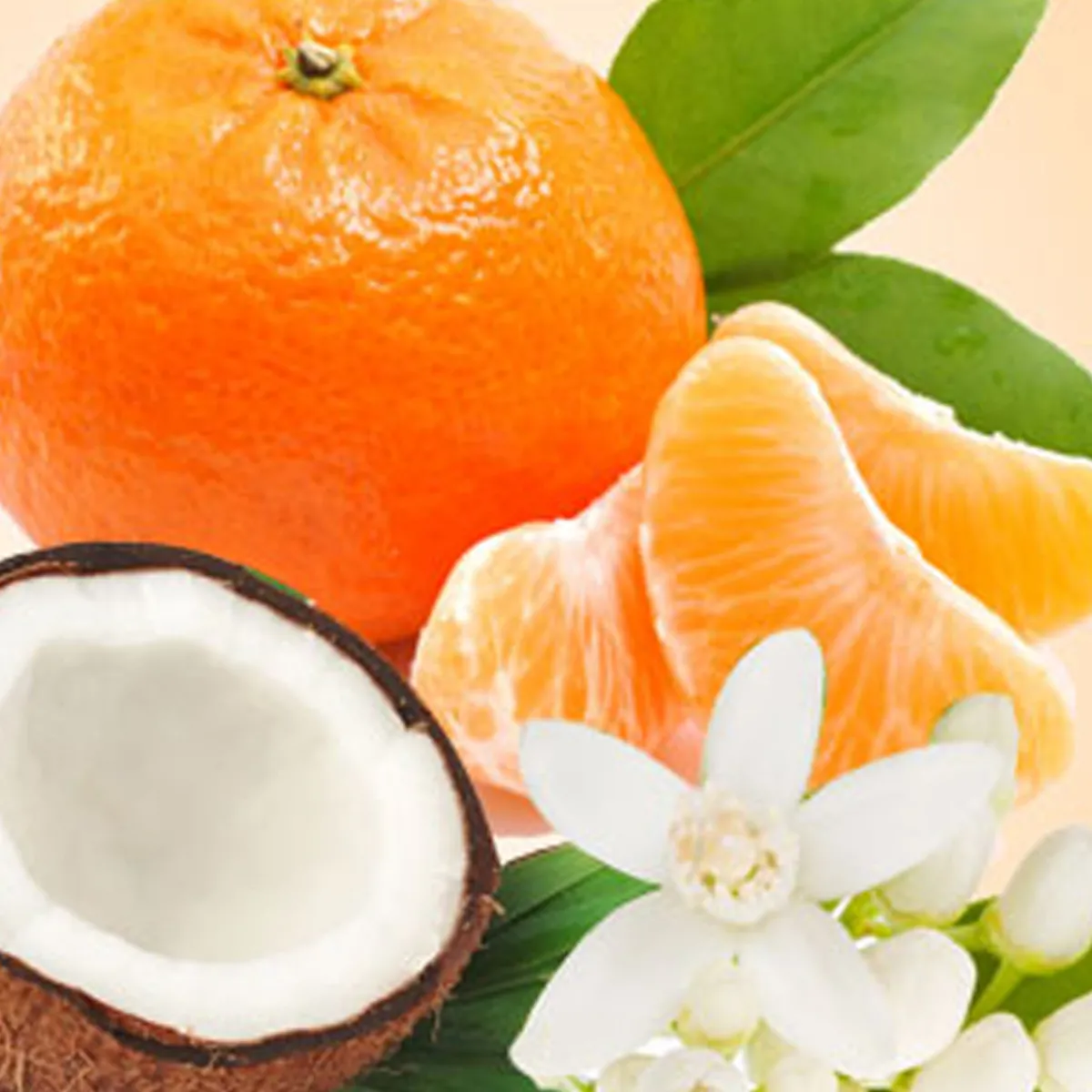 Nature's Garden Mandarin Coconut Fragrance Oil Online