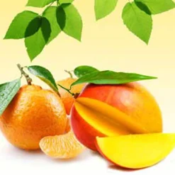 Nature's Garden Mango Tangerine Fragrance Oil New