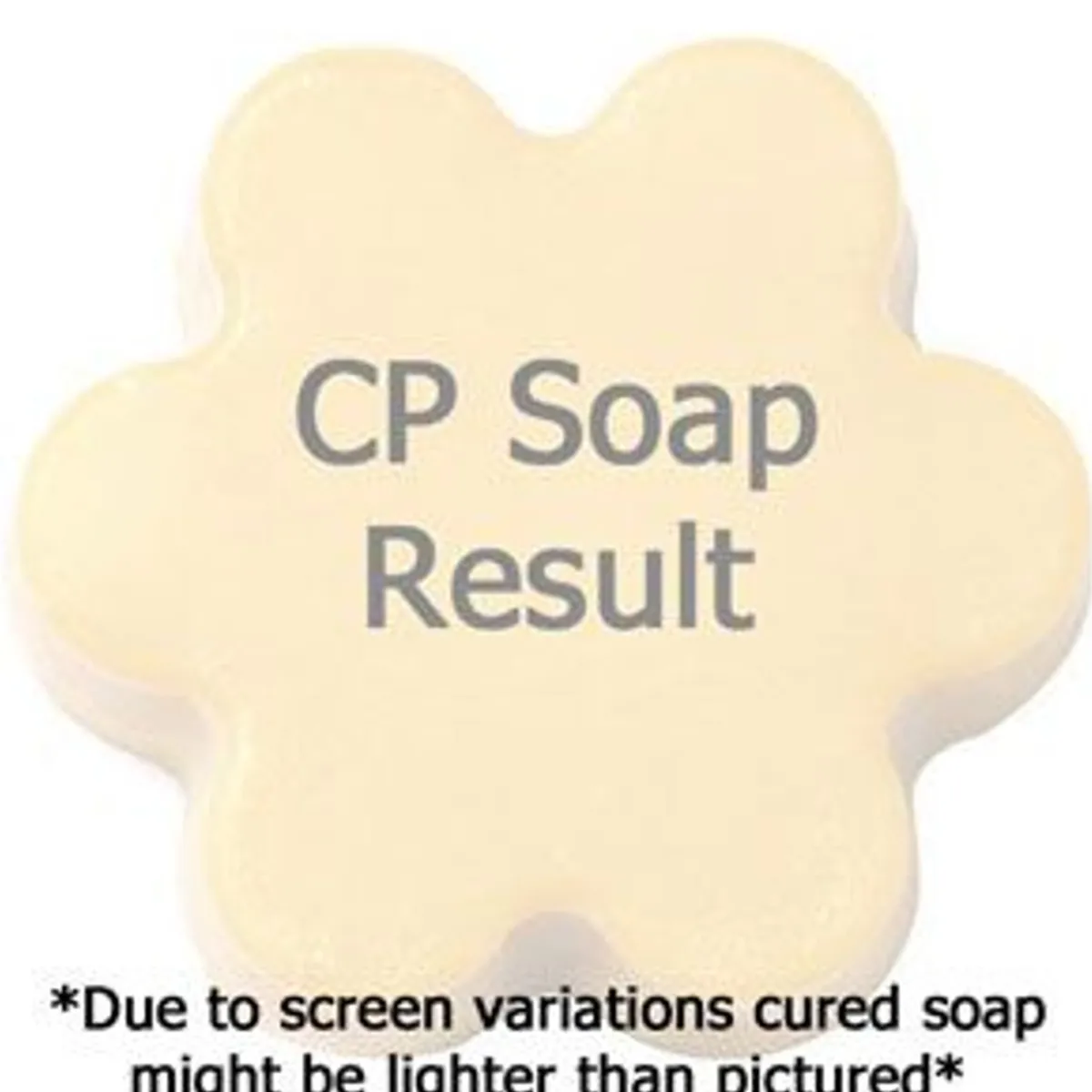 Nature's Garden Mango Tangerine Fragrance Oil New