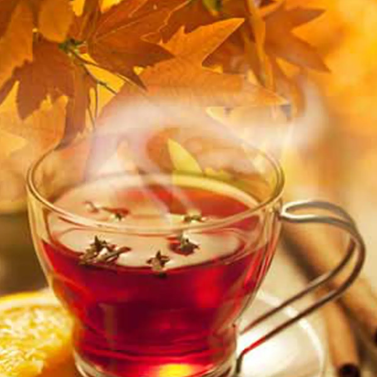 Nature's Garden Maple Whiskey Toddy Fragrance Oil