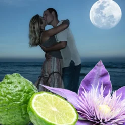 Nature's Garden Midnight Romance Fragrance Oil Outlet