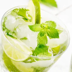 Nature's Garden Mojito Fragrance Oil New