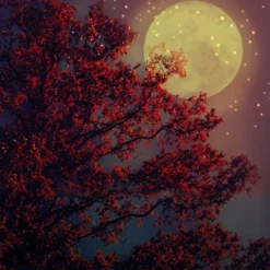 Nature's Garden Moon Dust Fragrance Oil Best