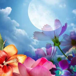 Nature's Garden Moon Flower Fragrance Oil New