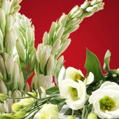 Nature's Garden Moonlight Tuberose Fragrance Oil