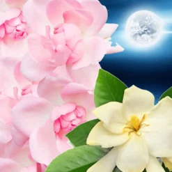 Nature's Garden Moonlit Path Fragrance Oil Outlet