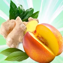 Nature's Garden Nectarine White Ginger Burst Fragrance Oil Discount