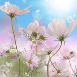 Nature's Garden NG April Clean Fragrance Oil New
