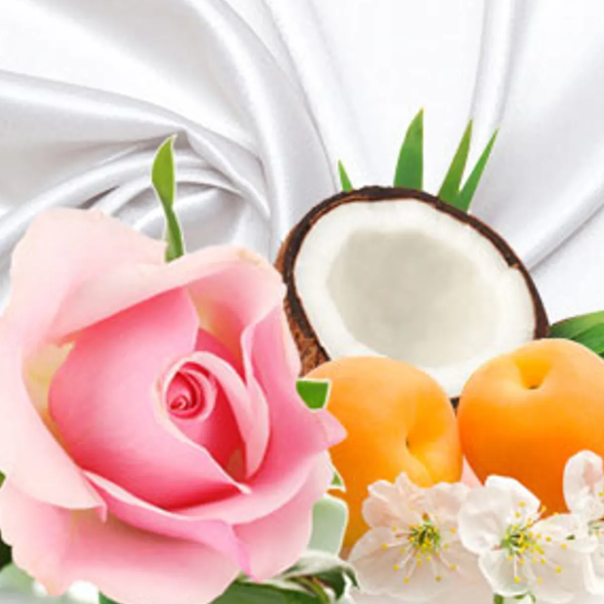 Nature's Garden NG Cashmere & Silk Type Fragrance Oil