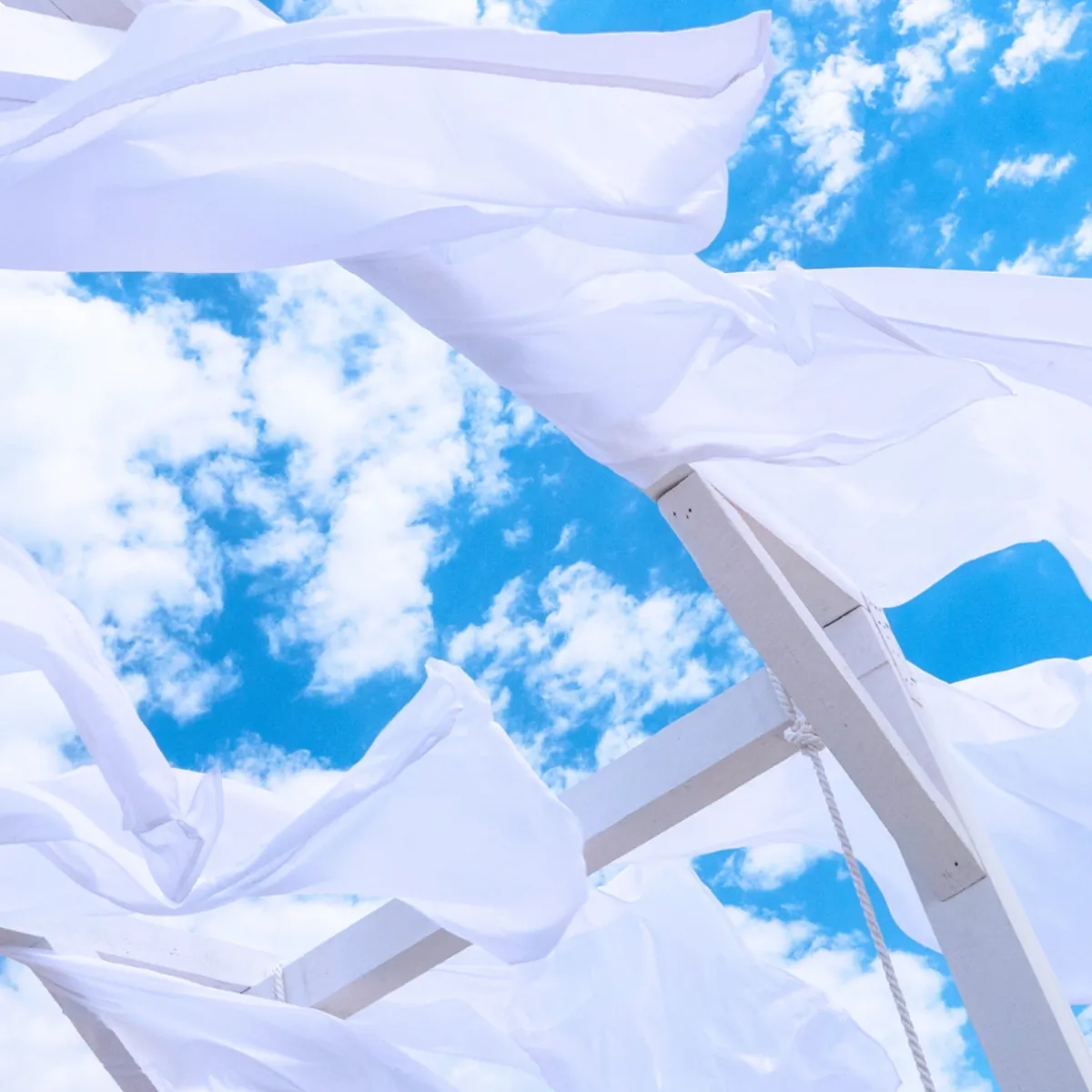 Nature's Garden NG Clean Breeze Type Fragrance Oil Discount