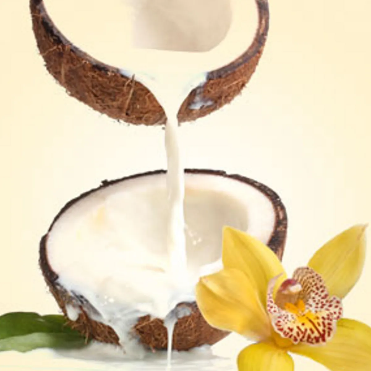 Nature's Garden NG Coconut Vanilla Type Fragrance Oil Sale