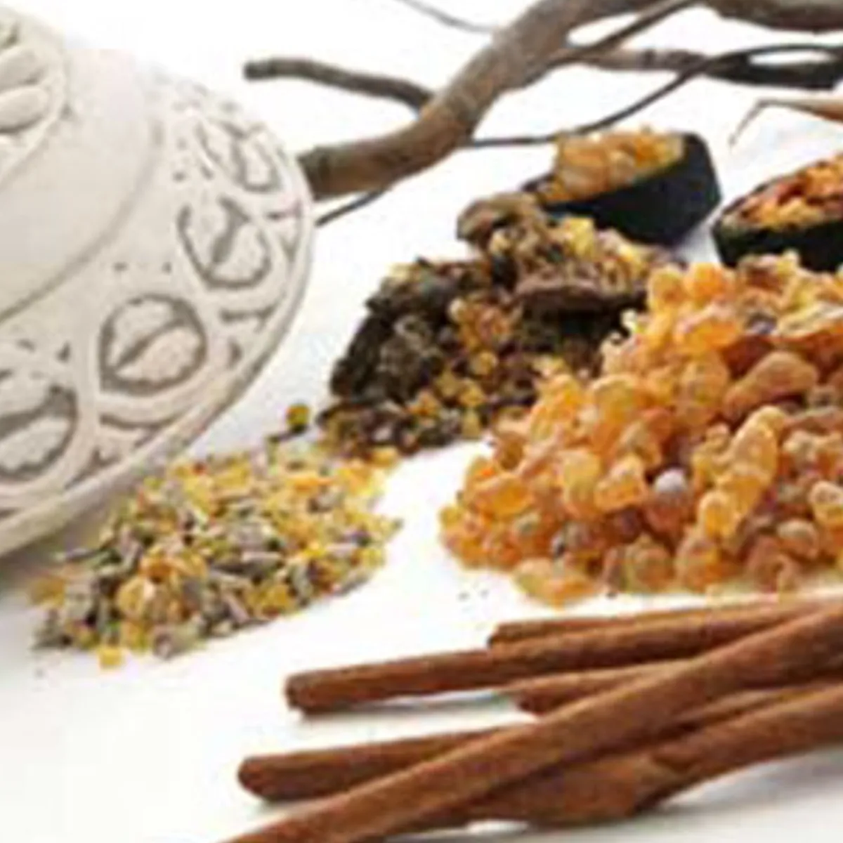 Nature's Garden NG Madagascar Spice Type Fragrance Oil Online