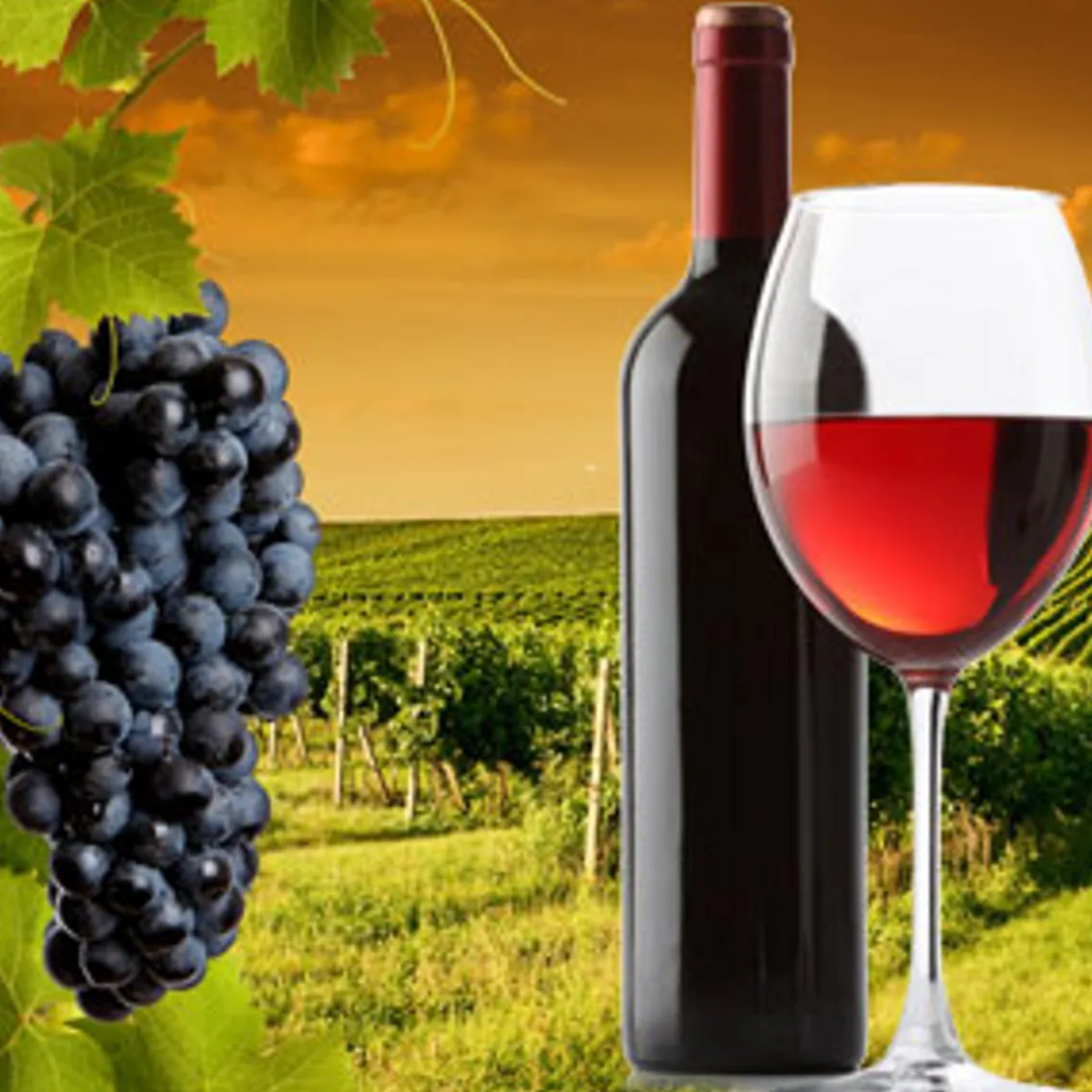 Nature's Garden NG Nappa Valley Harvest Type Fragrance Oil Sale