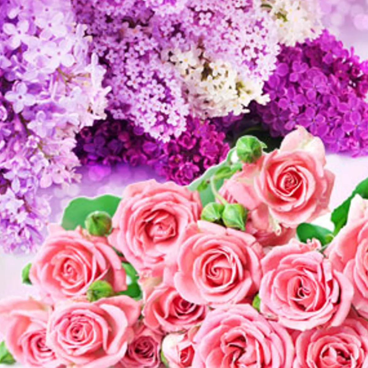 Nature's Garden NG Rose & Violet Type Fragrance Oil Hot