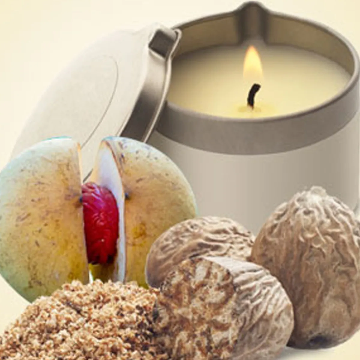 Nature's Garden Nutmeg Fragrance Oil Hot