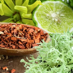 Nature's Garden Oakmoss Sandalwood Fragrance Oil Clearance