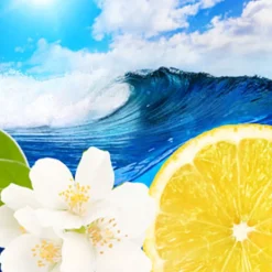 Nature's Garden Ocean Waves Fragrance Oil Online