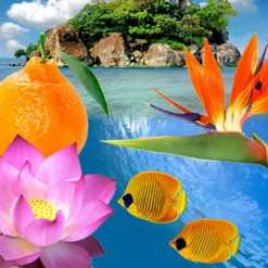 Nature's Garden Paradise Reef Fragrance Oil Clearance