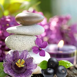 Nature's Garden Passionflower & Acai Berry Fragrance Oil Discount