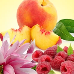 Nature's Garden Peach Magnolia Raspberry Fragrance Oil Sale