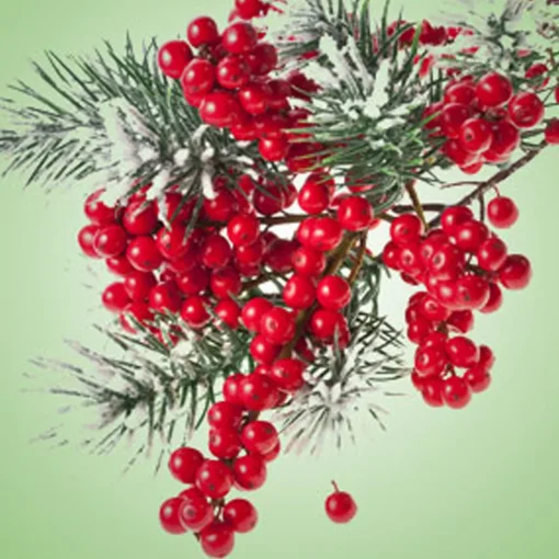 Nature's Garden Pepperberry Wreath Fragrance Oil New