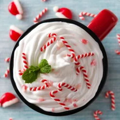 Nature's Garden Peppermint Mocha Fragrance Oil Hot