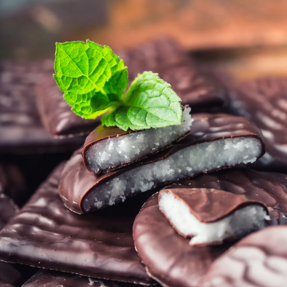 Nature's Garden Peppermint Patty Fragrance Oil New