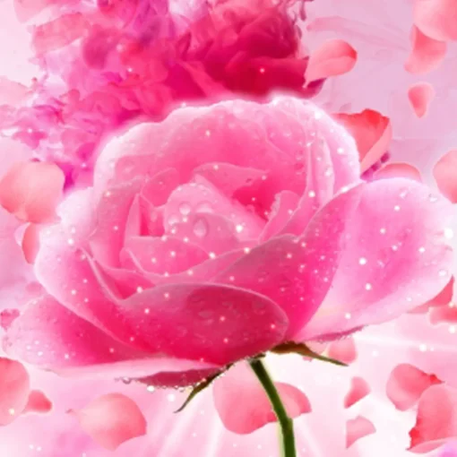 Nature's Garden Petal Explosion Fragrance Oil