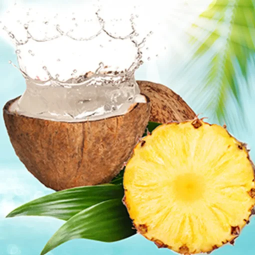 Nature's Garden Pineapple and Coconut Water Fragrance Oil