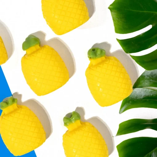 Nature's Garden Pineapple Wax Melts Kit Sale