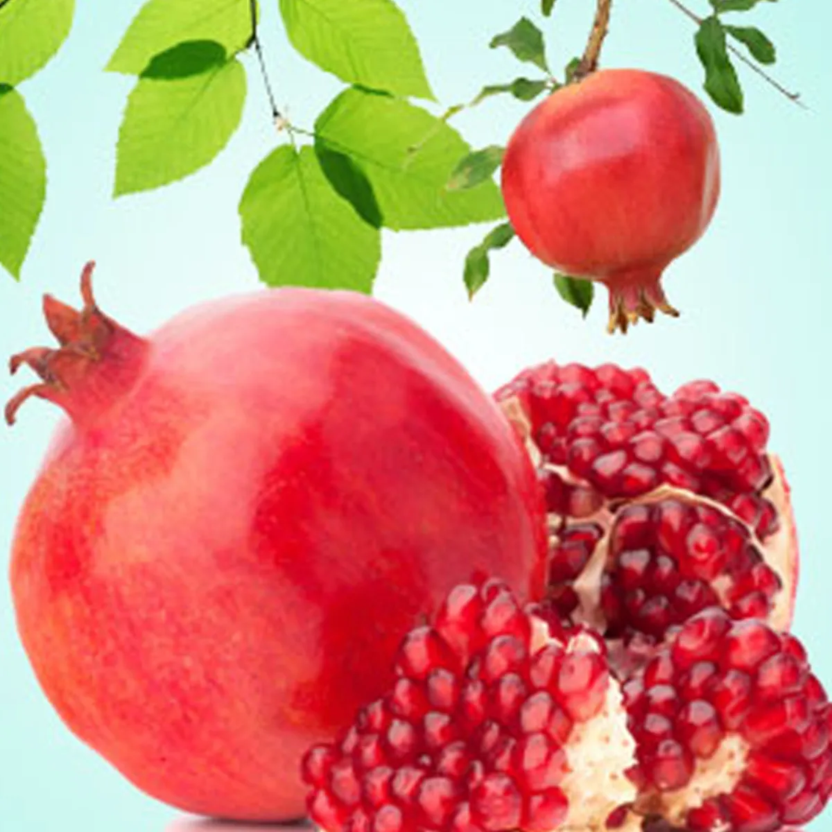 Nature's Garden Pomegranate Fragrance Oil Clearance