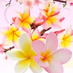 Nature's Garden Puakenikeni Hawaiian Flower Fragrance Oil