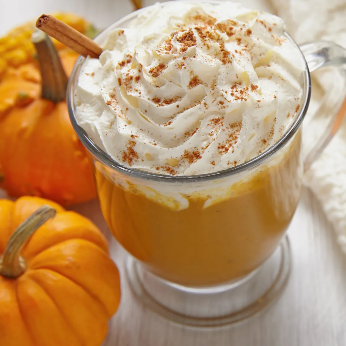 Nature's Garden Pumpkin and Cream Fragrance Oil Sale