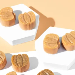 Nature's Garden Pumpkin Bath Melts Kit Sale