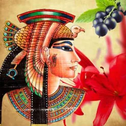 Nature's Garden Queen of the Nile Fragrance Oil Online