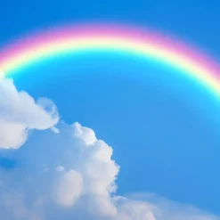 Nature's Garden Rainbow Fragrance Oil Online