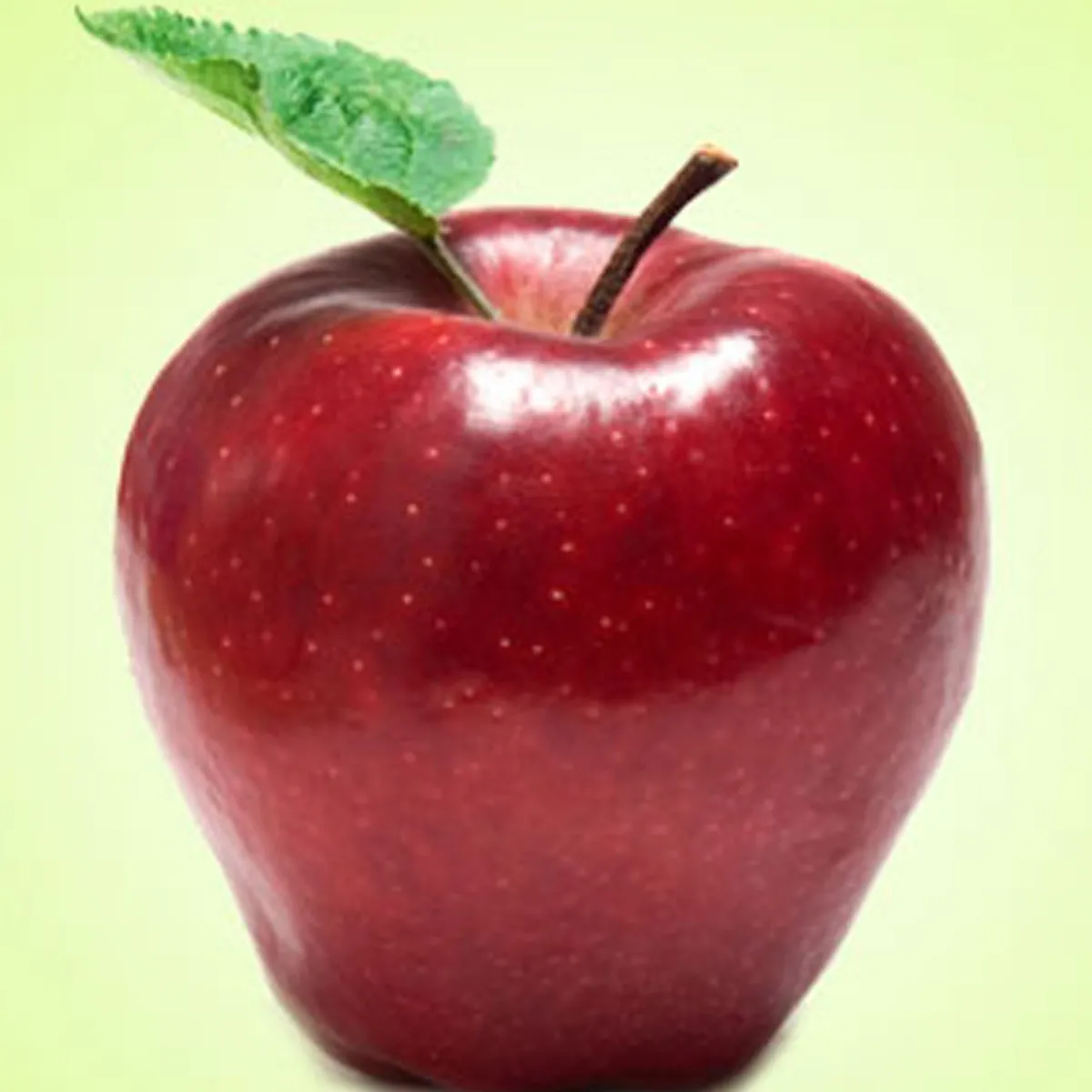 Nature's Garden Red Delicious Apple Fragrance Oil Best