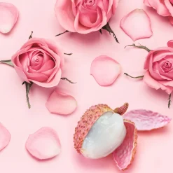 Nature's Garden Rose Blooms and Lychee Fragrance Oil Best