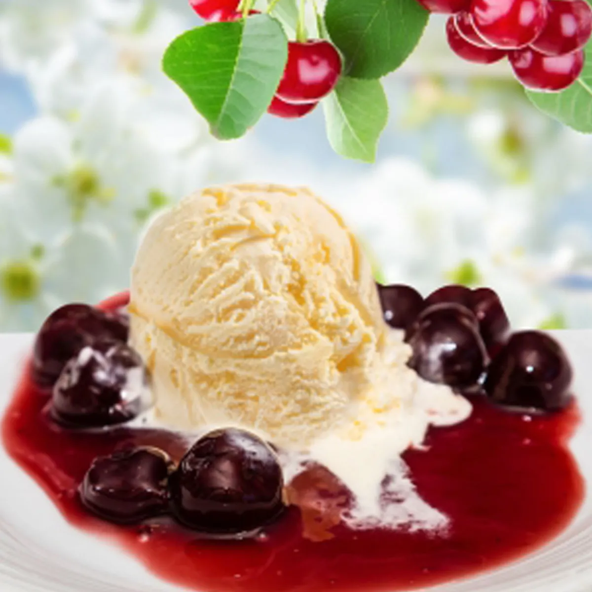 Nature's Garden Royal Cherries Jubilee Fragrance Oil Sale