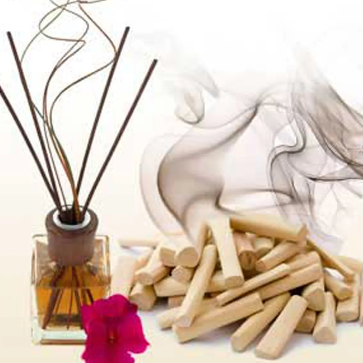 Nature's Garden Sacred Sandalwood Fragrance Oil Hot