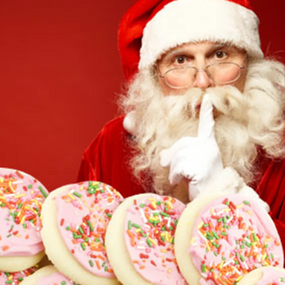 Nature's Garden Santa Snacks Fragrance Oil Discount