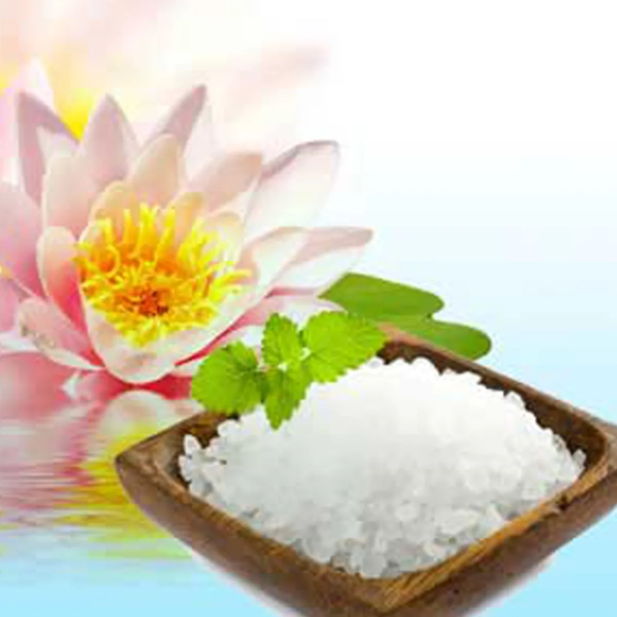 Nature's Garden Sea Salt & Lotus Blossoms Fragrance Oil Outlet