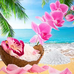 Nature's Garden Sea Salt and Orchid Fragrance Oil Discount