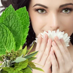 Nature's Garden Sinus Relief Fragrance Oil New