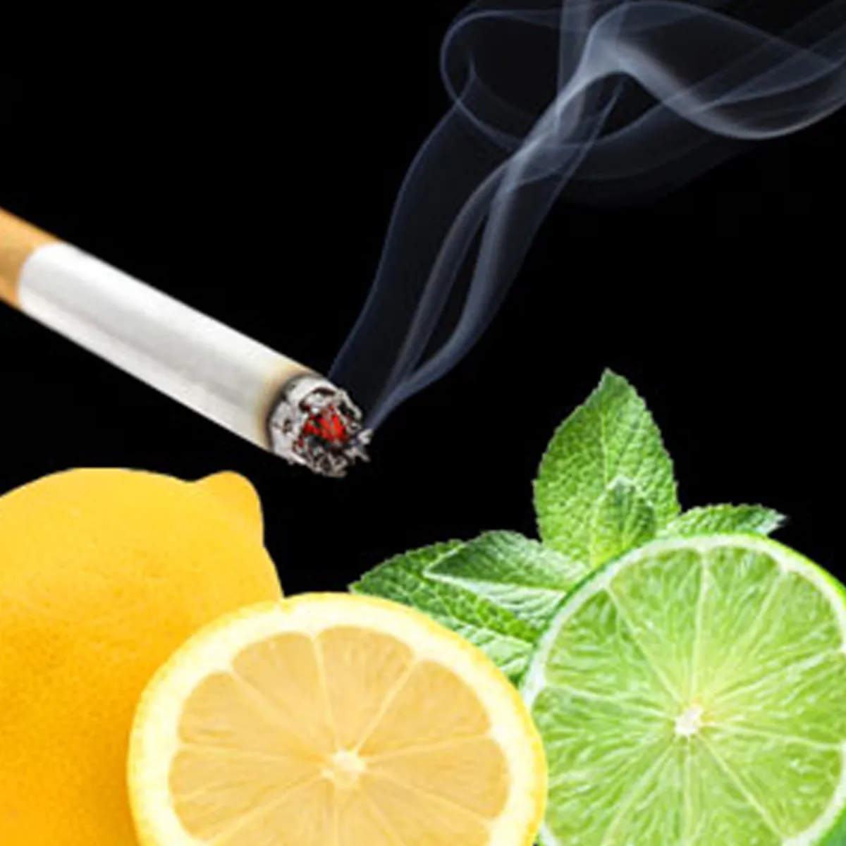 Nature's Garden Smoke Eliminator Fragrance Oil Best