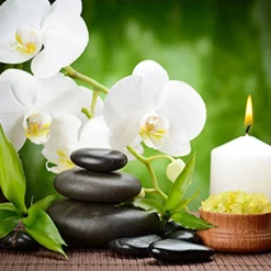 Nature's Garden Spa Fragrance Oil Outlet