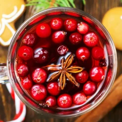 Nature's Garden Spiced Cranberry Fragrance Oil Online